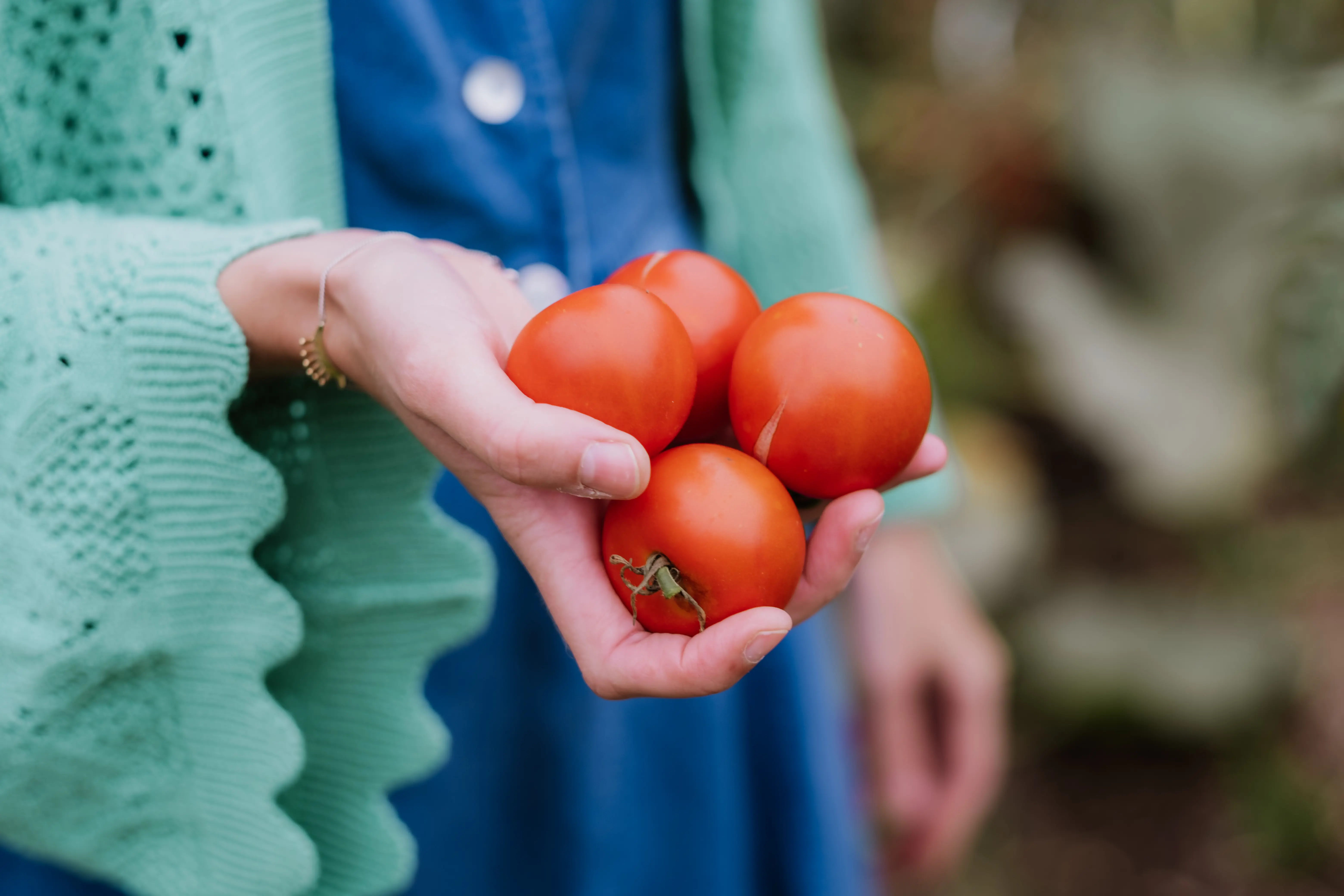 foto Lies houdt tomaten vast in moestuin
