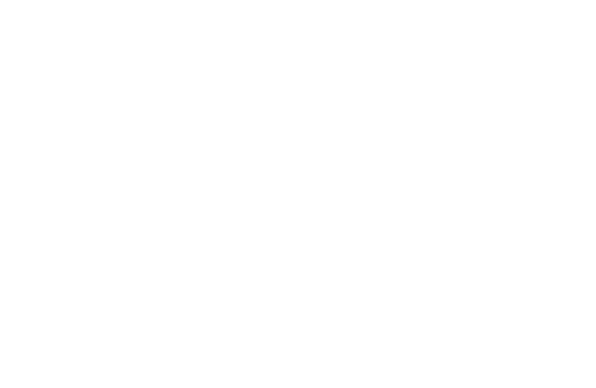 logo madelies