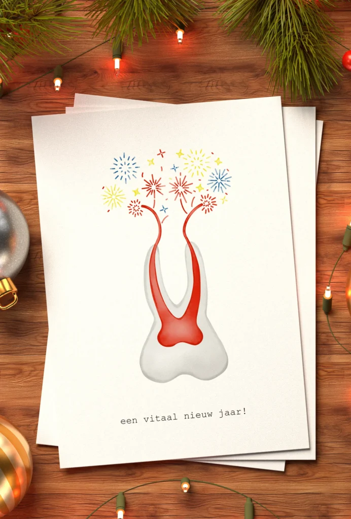 voordeelpakket 3+1 kerstkaartjes vitaal nieuw jaar